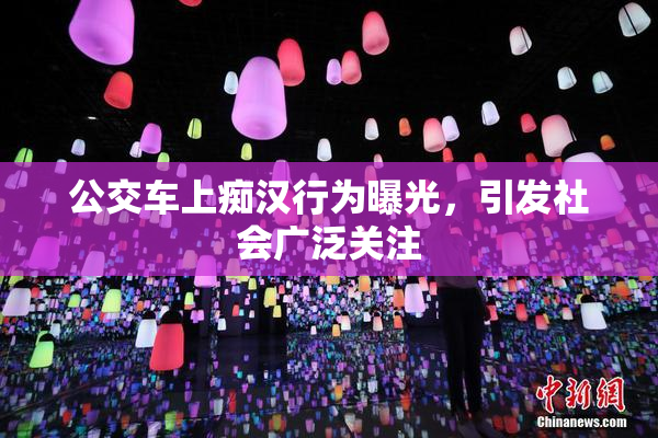 公交车上痴汉行为曝光，引发社会广泛关注