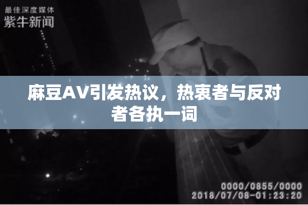 麻豆AV引发热议，热衷者与反对者各执一词