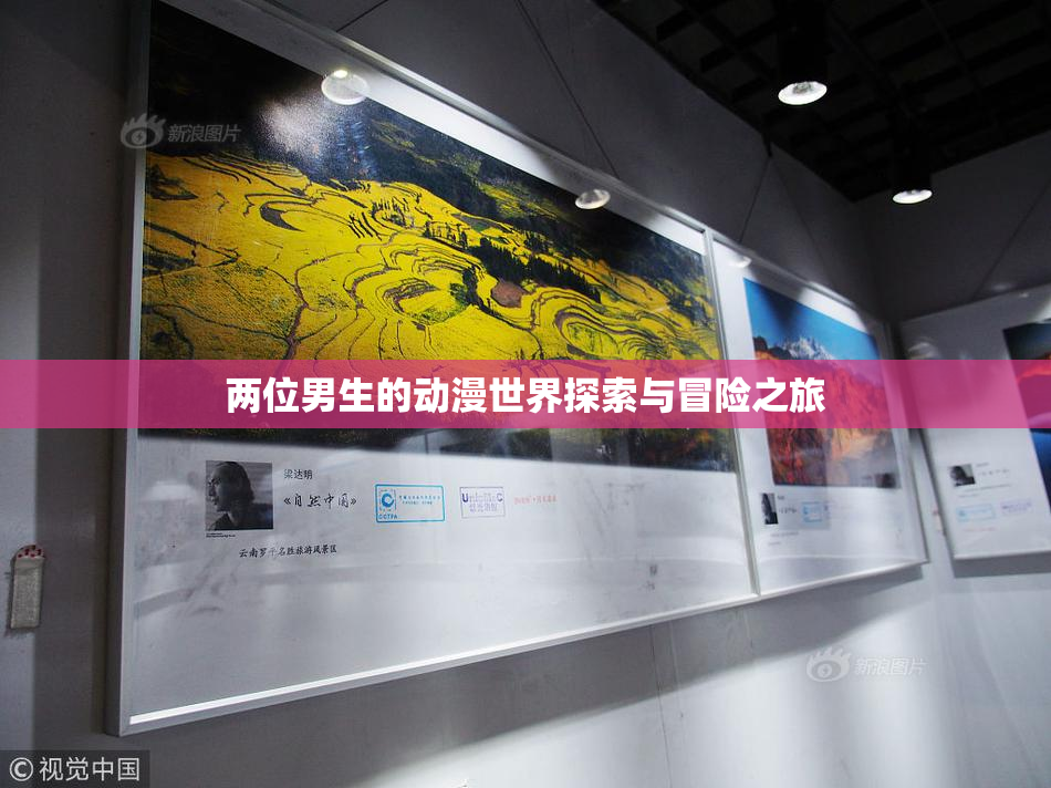 两位男生的动漫世界探索与冒险之旅