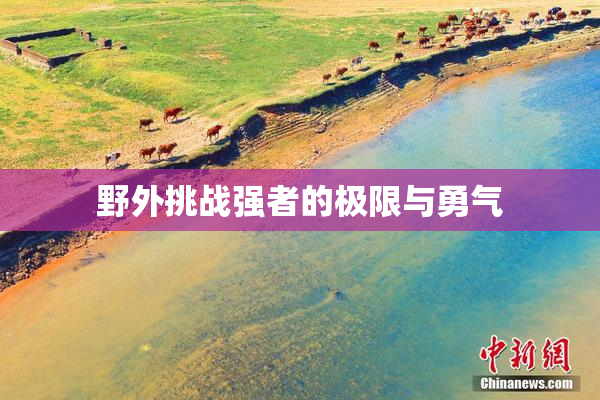 野外挑战强者的极限与勇气