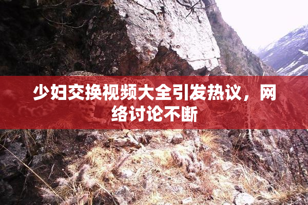 少妇交换视频大全引发热议，网络讨论不断