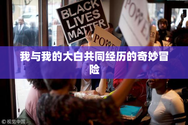 我与我的大白共同经历的奇妙冒险
