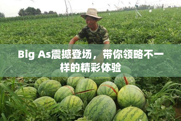 Big As震撼登场，带你领略不一样的精彩体验