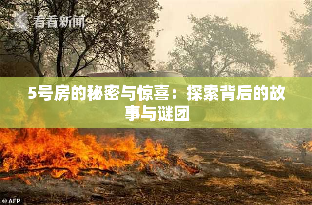 5号房的秘密与惊喜：探索背后的故事与谜团