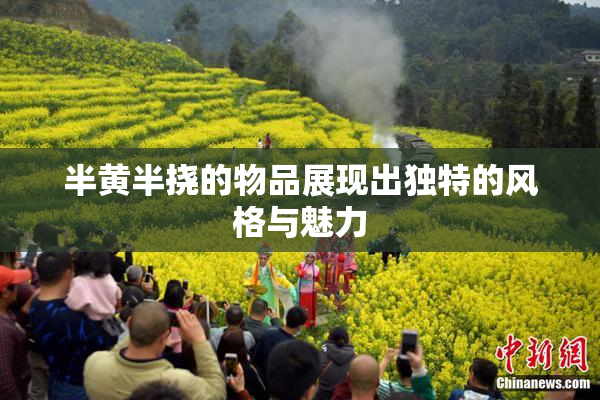 半黄半挠的物品展现出独特的风格与魅力