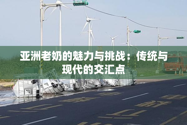 亚洲老奶的魅力与挑战：传统与现代的交汇点