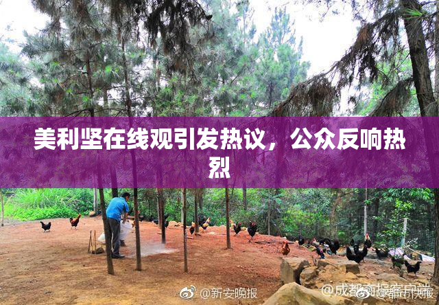 美利坚在线观引发热议，公众反响热烈