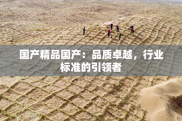 国产精品国产：品质卓越，行业标准的引领者