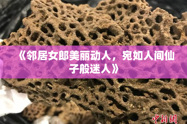 《邻居女郎美丽动人，宛如人间仙子般迷人》