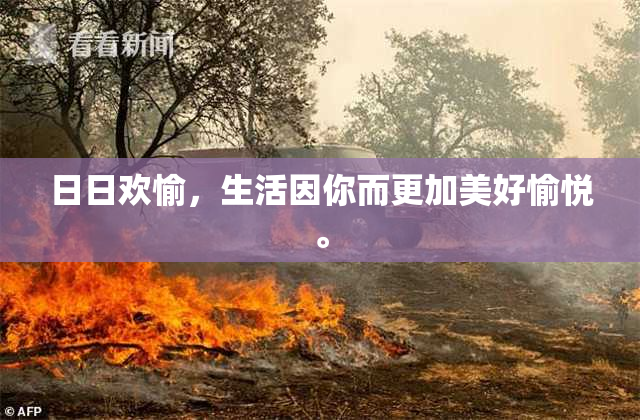 日日欢愉，生活因你而更加美好愉悦。