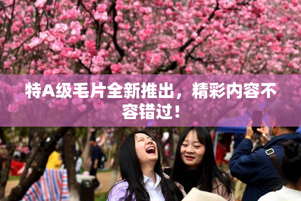 特A级毛片全新推出，精彩内容不容错过！