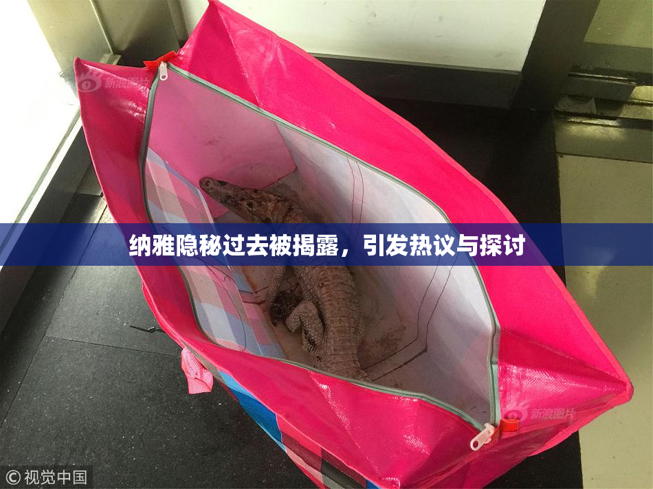 纳雅隐秘过去被揭露，引发热议与探讨