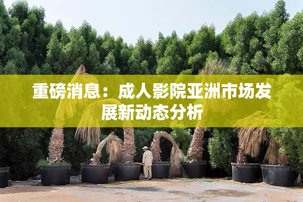 重磅消息：成人影院亚洲市场发展新动态分析