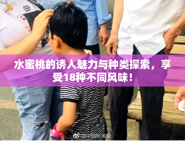 水蜜桃的诱人魅力与种类探索，享受18种不同风味！