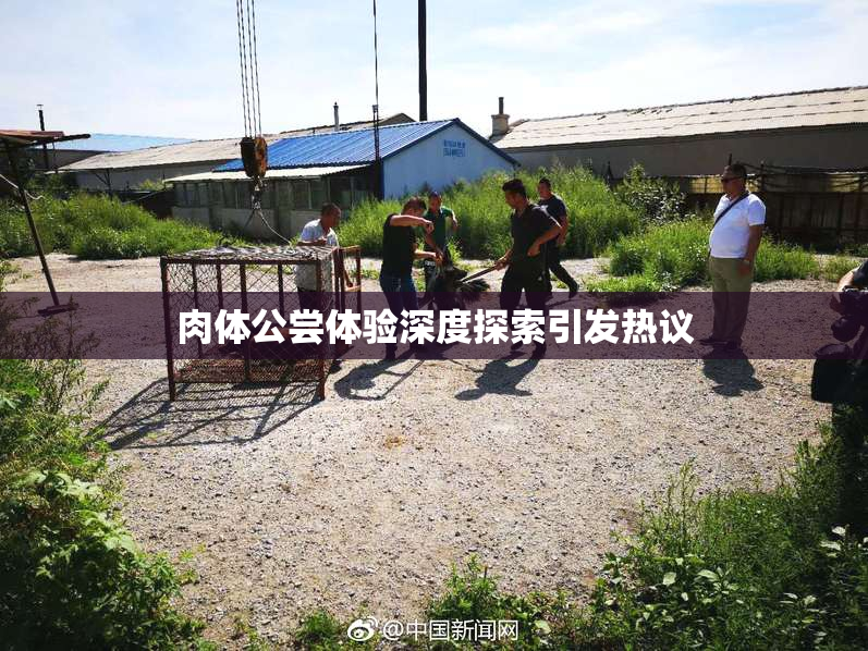肉体公尝体验深度探索引发热议