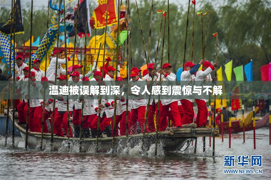 温迪被误解到深，令人感到震惊与不解