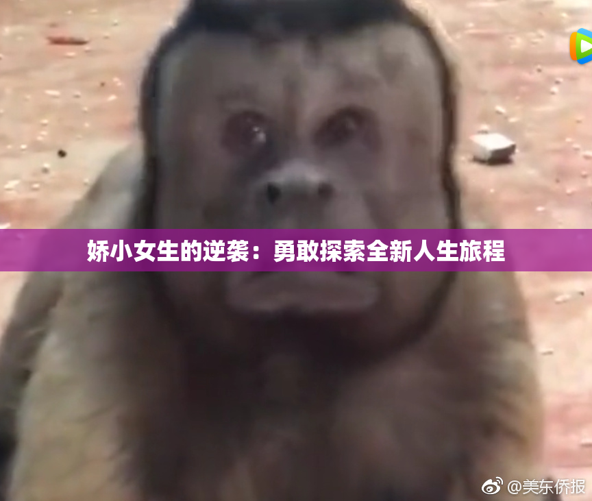 娇小女生的逆袭：勇敢探索全新人生旅程