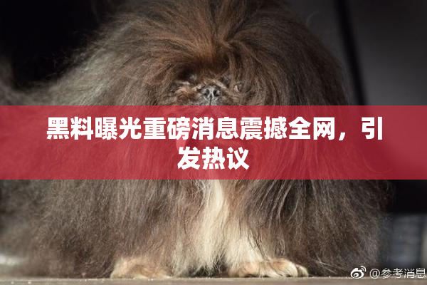 黑料曝光重磅消息震撼全网，引发热议