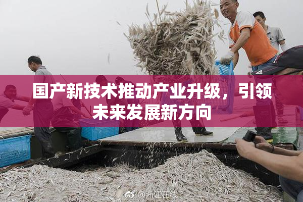 国产新技术推动产业升级，引领未来发展新方向