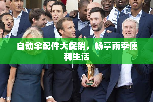 自动伞配件大促销，畅享雨季便利生活