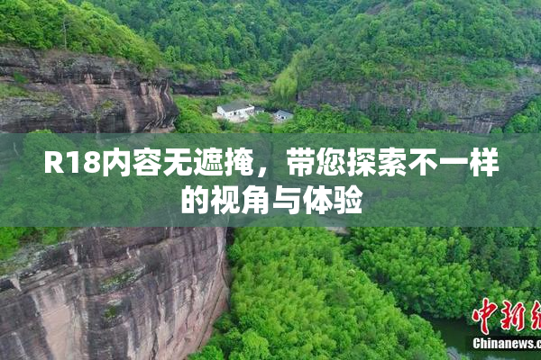 R18内容无遮掩，带您探索不一样的视角与体验