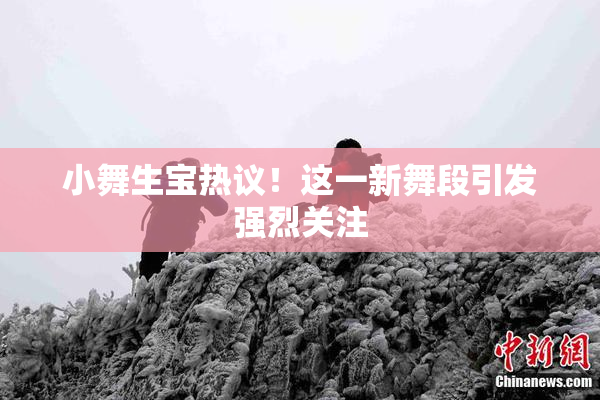 小舞生宝热议！这一新舞段引发强烈关注