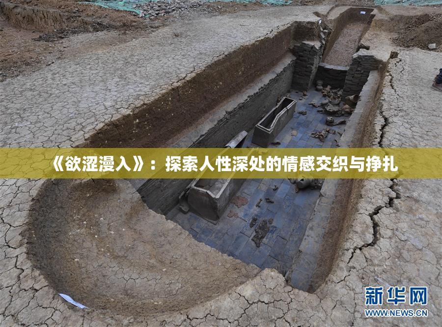 《欲涩漫入》：探索人性深处的情感交织与挣扎