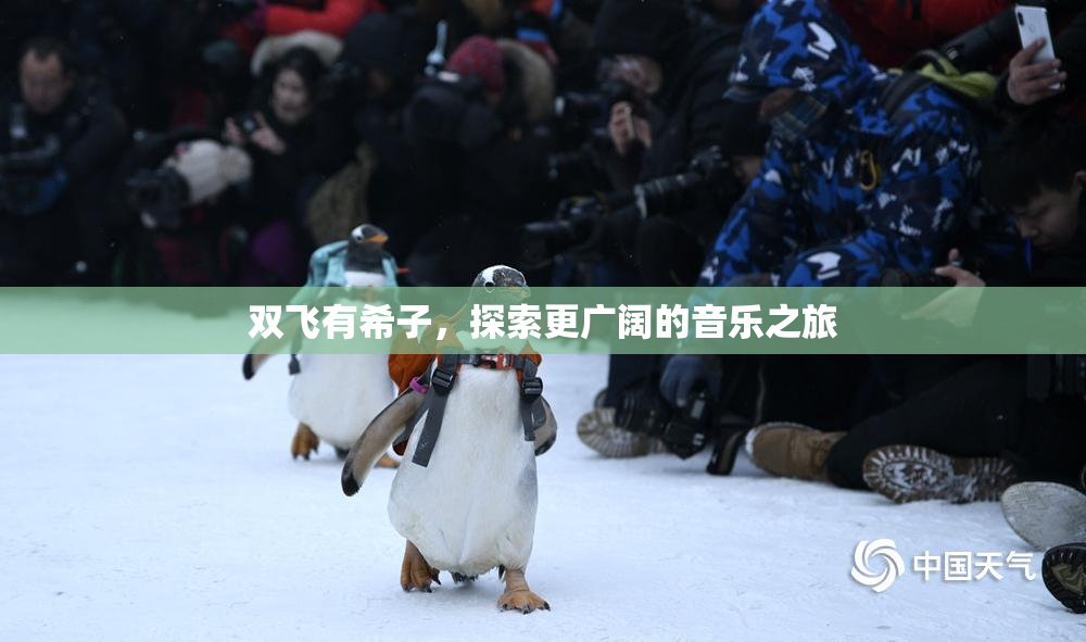 双飞有希子，探索更广阔的音乐之旅