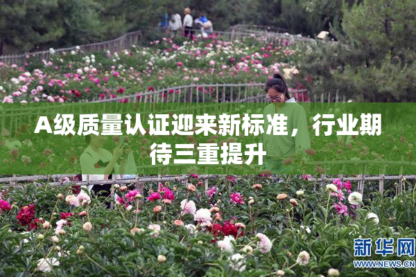 A级质量认证迎来新标准，行业期待三重提升