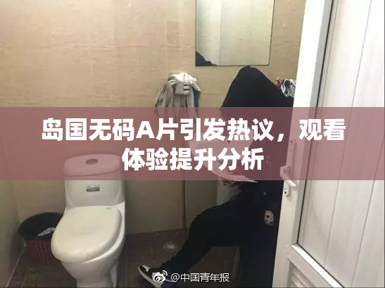 岛国无码A片引发热议，观看体验提升分析