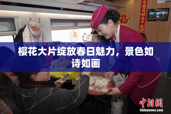 樱花大片绽放春日魅力，景色如诗如画