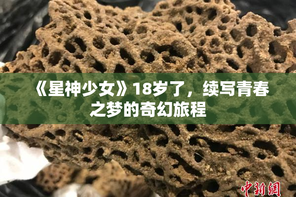《星神少女》18岁了，续写青春之梦的奇幻旅程