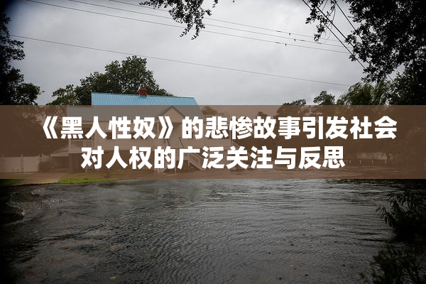 《黑人性奴》的悲惨故事引发社会对人权的广泛关注与反思