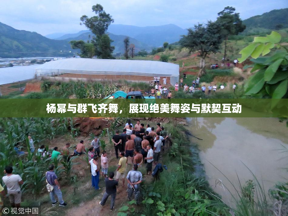 杨幂与群飞齐舞，展现绝美舞姿与默契互动