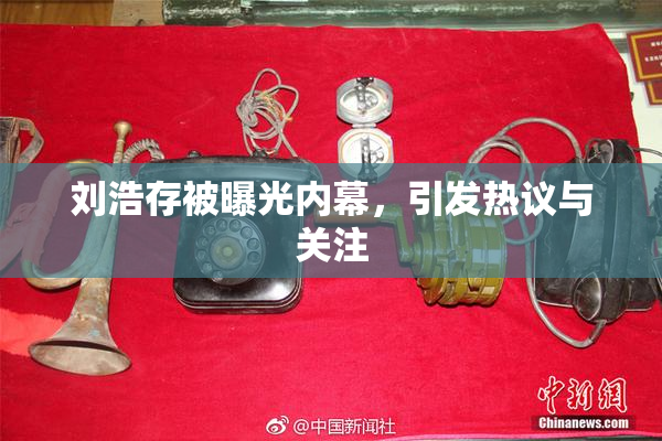 刘浩存被曝光内幕，引发热议与关注