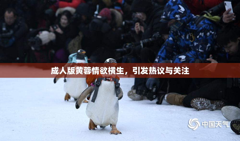 成人版黄蓉情欲横生，引发热议与关注