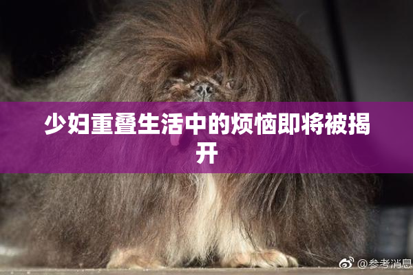 少妇重叠生活中的烦恼即将被揭开
