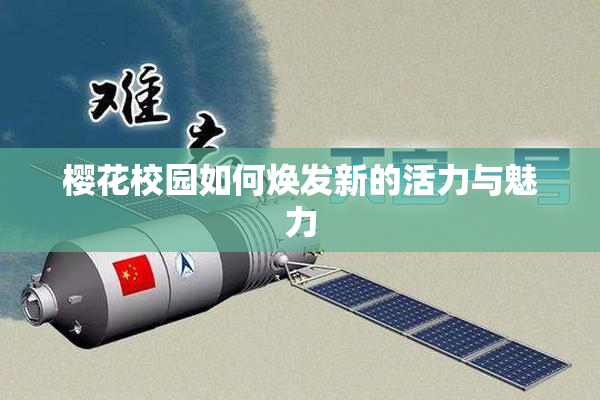 樱花校园如何焕发新的活力与魅力