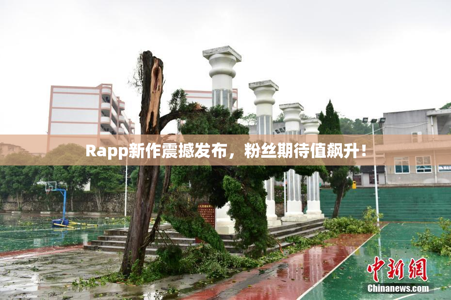 Rapp新作震撼发布，粉丝期待值飙升！