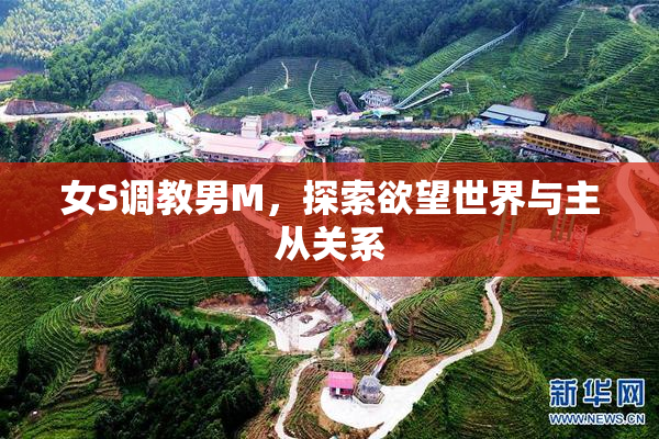 女S调教男M，探索欲望世界与主从关系