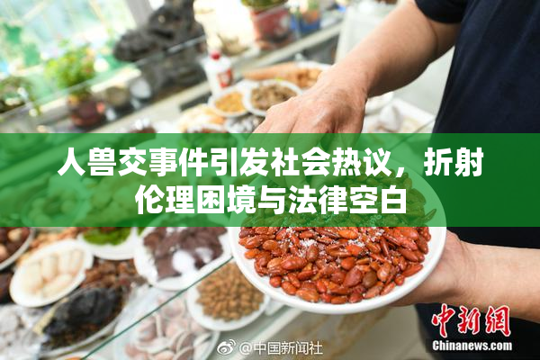 人兽交事件引发社会热议，折射伦理困境与法律空白