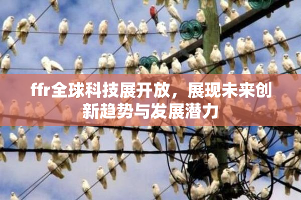ffr全球科技展开放，展现未来创新趋势与发展潜力