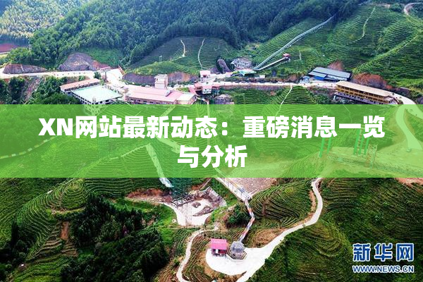XN网站最新动态：重磅消息一览与分析