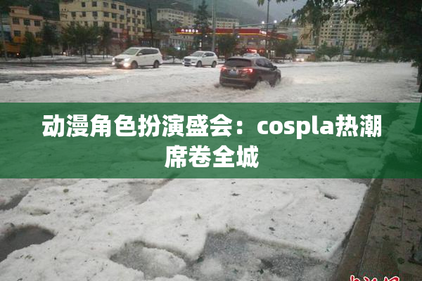动漫角色扮演盛会：cospla热潮席卷全城