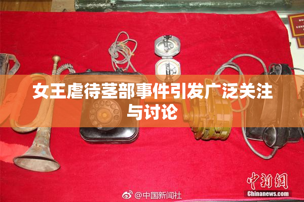 女王虐待茎部事件引发广泛关注与讨论