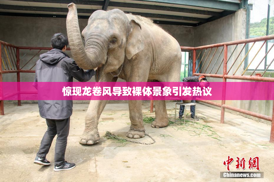 惊现龙卷风导致裸体景象引发热议