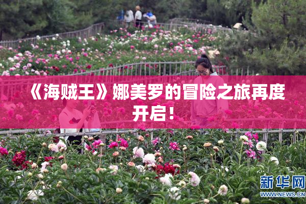 《海贼王》娜美罗的冒险之旅再度开启！