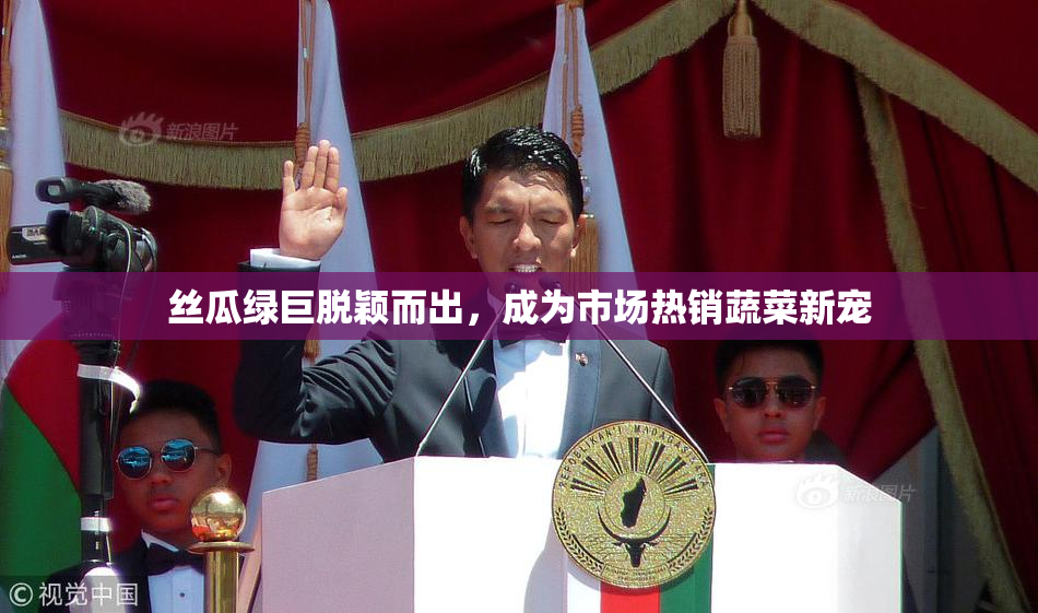 丝瓜绿巨脱颖而出，成为市场热销蔬菜新宠