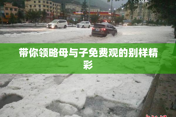 带你领略母与子免费观的别样精彩