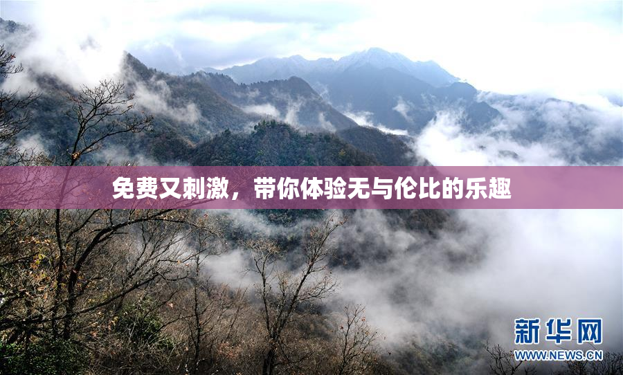 免费又刺激，带你体验无与伦比的乐趣